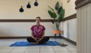 Wholehearted Wellness with Lori Bullock: Alignment
