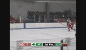 Hockey North vs Feehan 1-2-13